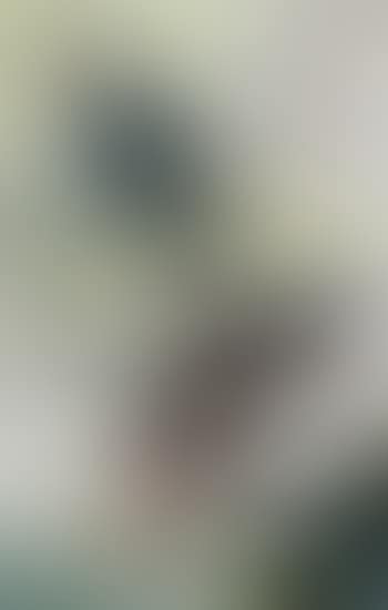 Two birds in a tropical landscape (preview)