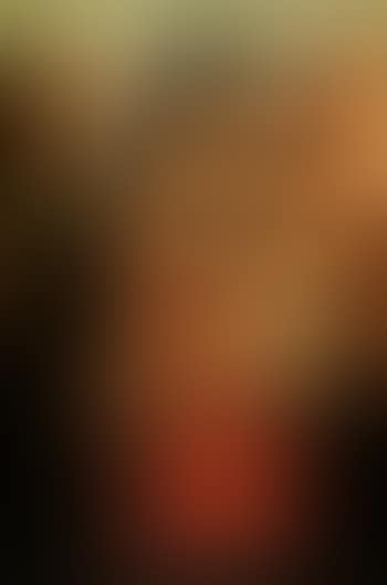 The Madonna and Child with Saints Jerome and Mary Magdalene (preview)