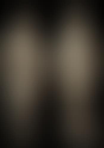 Figures of Franciscan saints (preview)