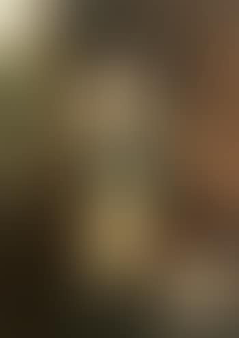 Portrait of Francis Hnery Deane (preview)