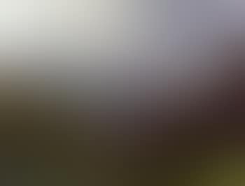 View of valley (preview)