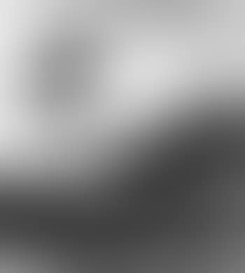 Wooded landscape at sunset (preview)