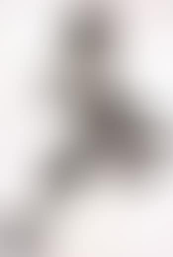 Yankee Doodle (preview)
