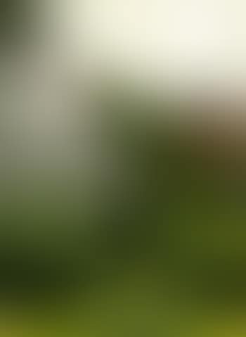 Midsummer (preview)