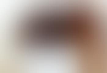 Blick im Kreuz (preview)