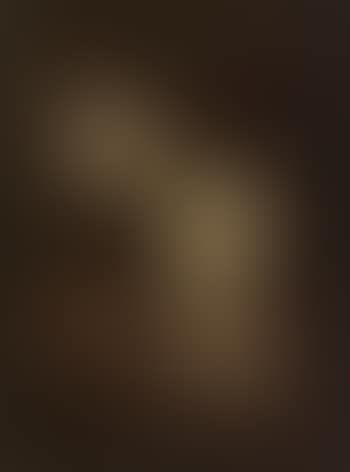 The Penitent Magdalene (preview)