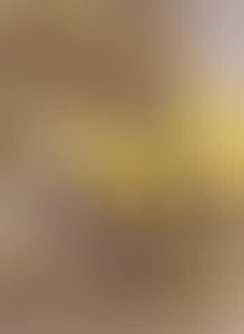 Bush scene (preview)