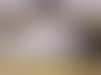 Nude in wheatfield (preview)