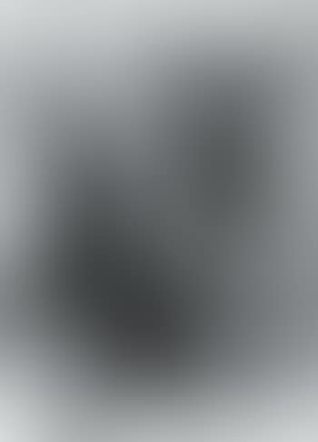 Reconstruction (preview)