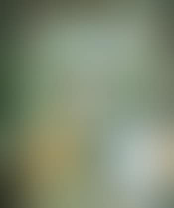 Hulaflora (preview)