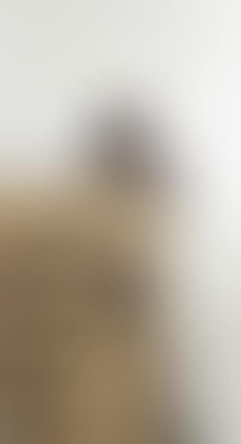 The art collector (preview)