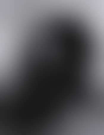 Woman with veil (preview)