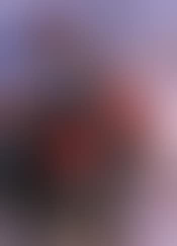 Still life with warathas (preview)