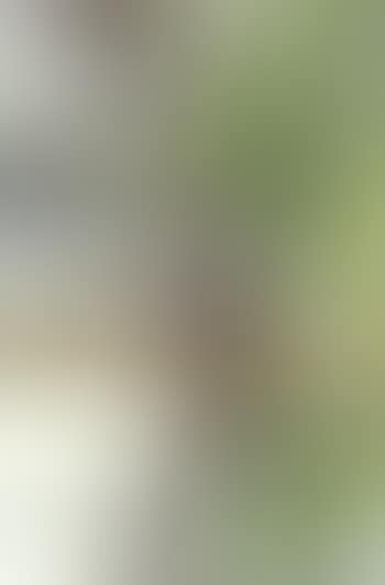 River landscape (preview)
