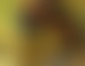 Hallucinata (preview)