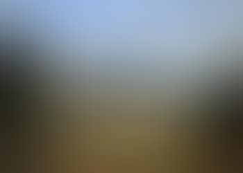 Paesaggio (preview)