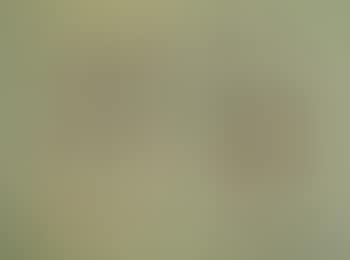 Composizione con figure (preview)