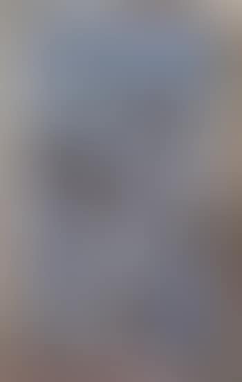 Oiseaux (preview)