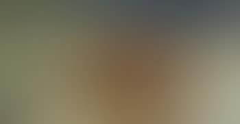 Sailing boats (preview)