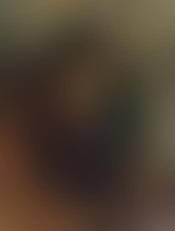 Portrait of lady (preview)
