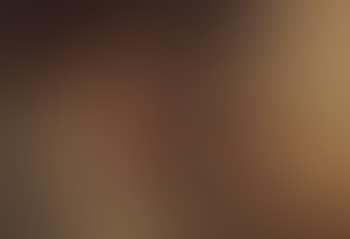Four Evangelists (preview)