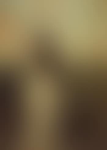 Portrait of a lady (preview)