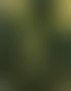 Christ at Gethsemane (preview)