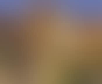 View of San Giusto (preview)