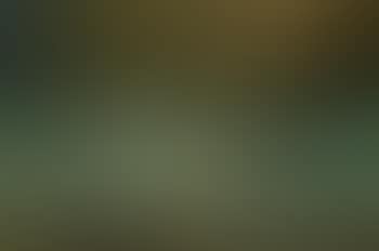 Cows in pasture (preview)