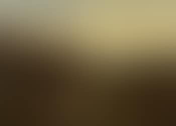 Autumn Glory, red grouse on Scottish moors (preview)