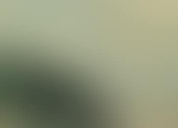 Dune landscape by the sea (preview)