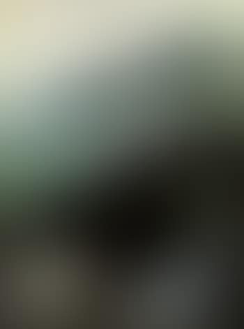 Snowy landscape (preview)