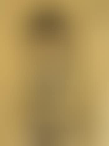 Portrait of lady (preview)
