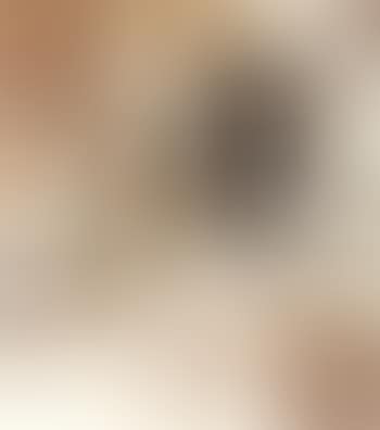 Two owls (preview)