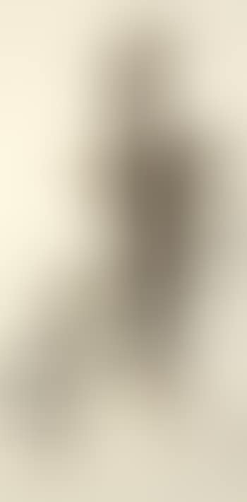Silk cotton (preview)