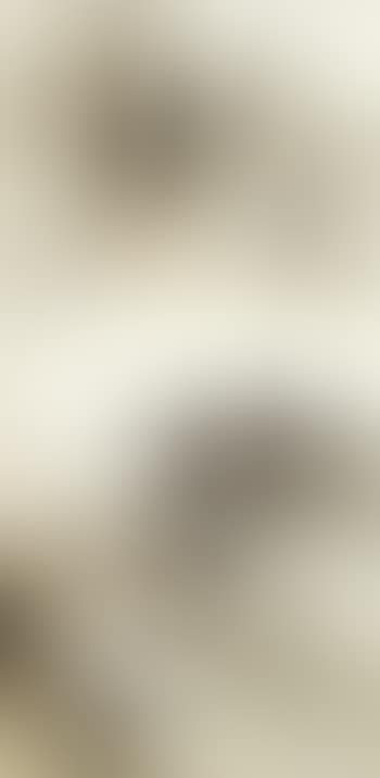 Misty landscape (preview)