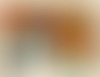 Palm Sunday (preview)