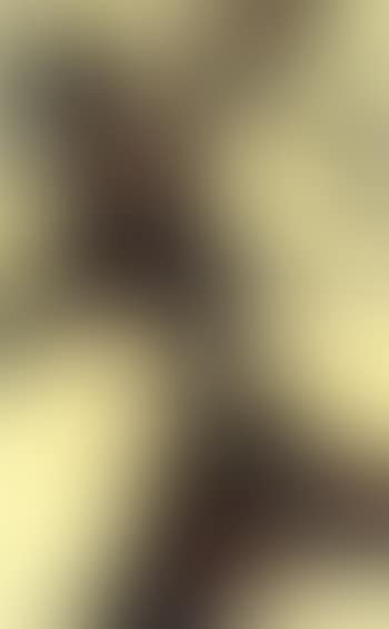 KSA - composition (preview)
