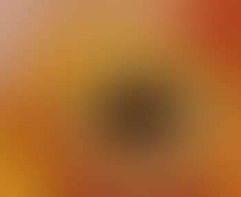 Still life (preview)
