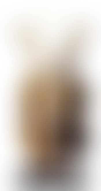 Violon brise (preview)