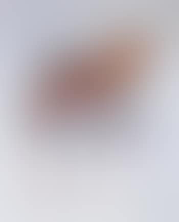 Leda and the swan (preview)