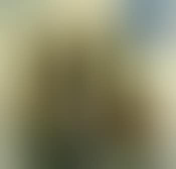 Four-masted barque (preview)