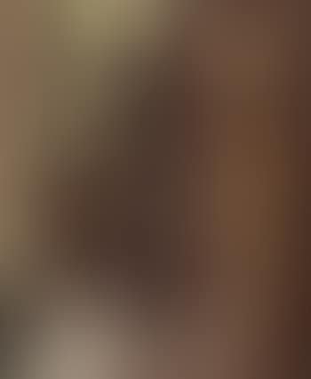 Ouvrieres au chiffonier (preview)