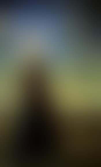 Portrait de Mrs Reeves (preview)
