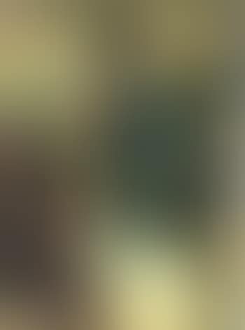 Woman looking in a mirror (preview)