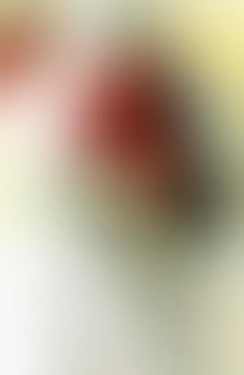 Play of colours (preview)