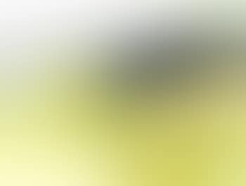 Landscape (preview)