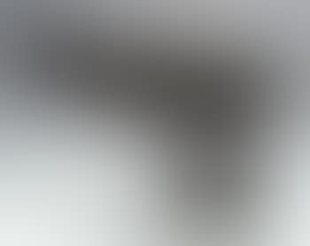 La cigale (preview)