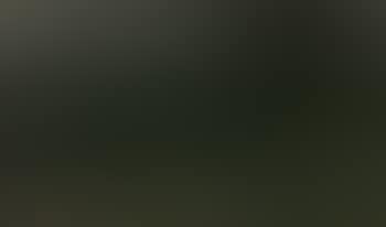 Landscape (preview)
