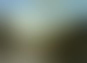 Fjord landscape (preview)